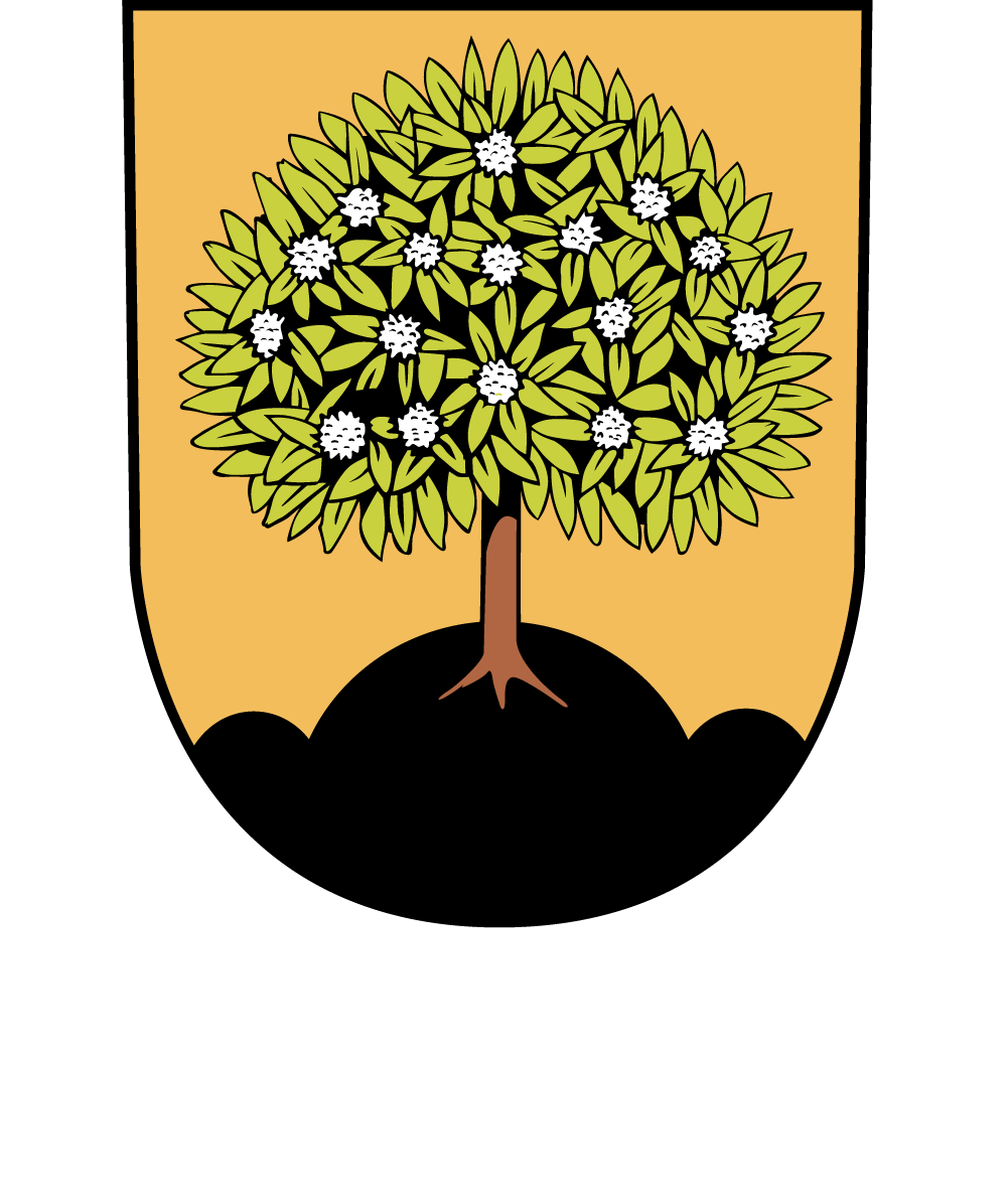 Město Nasavrky